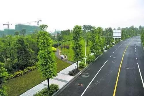 牛爆了原版视频,牛爆了