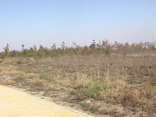 “娃拐子”拍小孩头，小孩就跟着他走