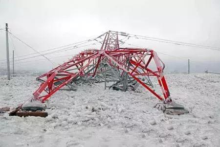 2018年，我们多了一名“抗冰战士”，你们猜是谁？