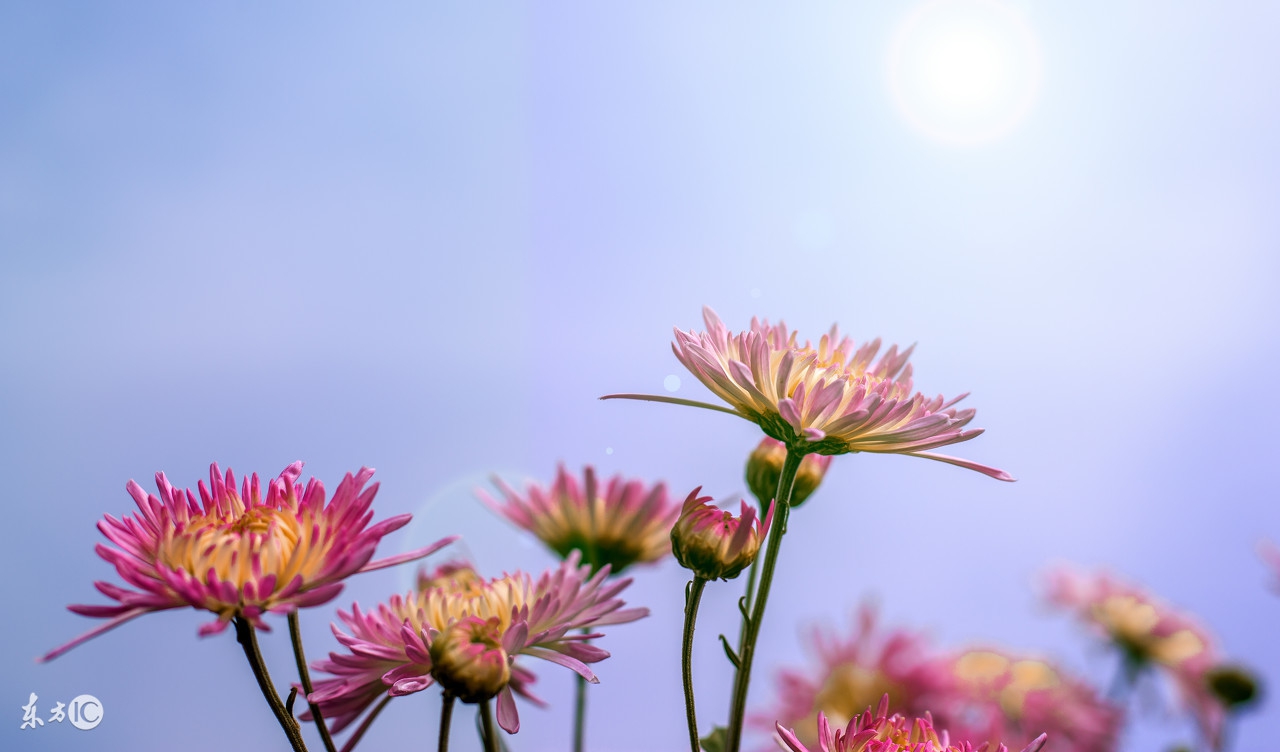 微博热搜整改两次原因,微博热搜整改的原因