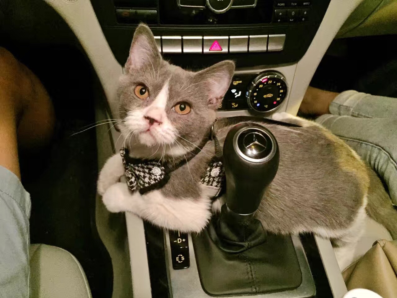 当我们探讨时我们在讨论什么,当我们谈论喝茶时我们在谈论什么