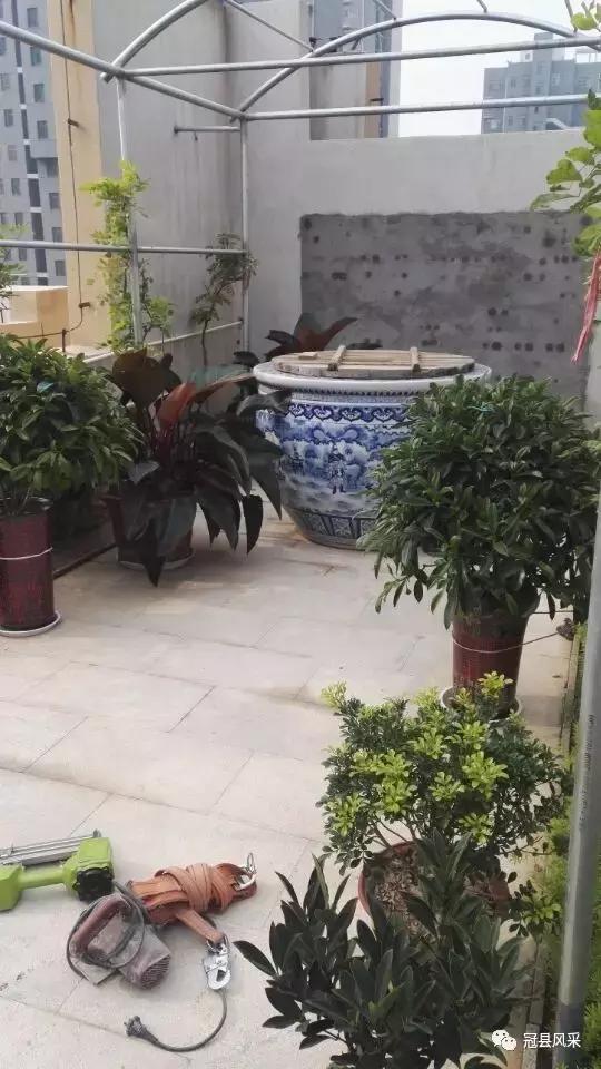 冠县的空中花园,冠县花园