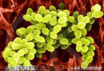 人类发现的第一个抗生素,现在临床还能用吗?