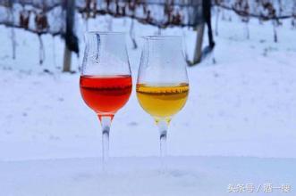 浅谈酒知识,冰酒品酒知识讲解