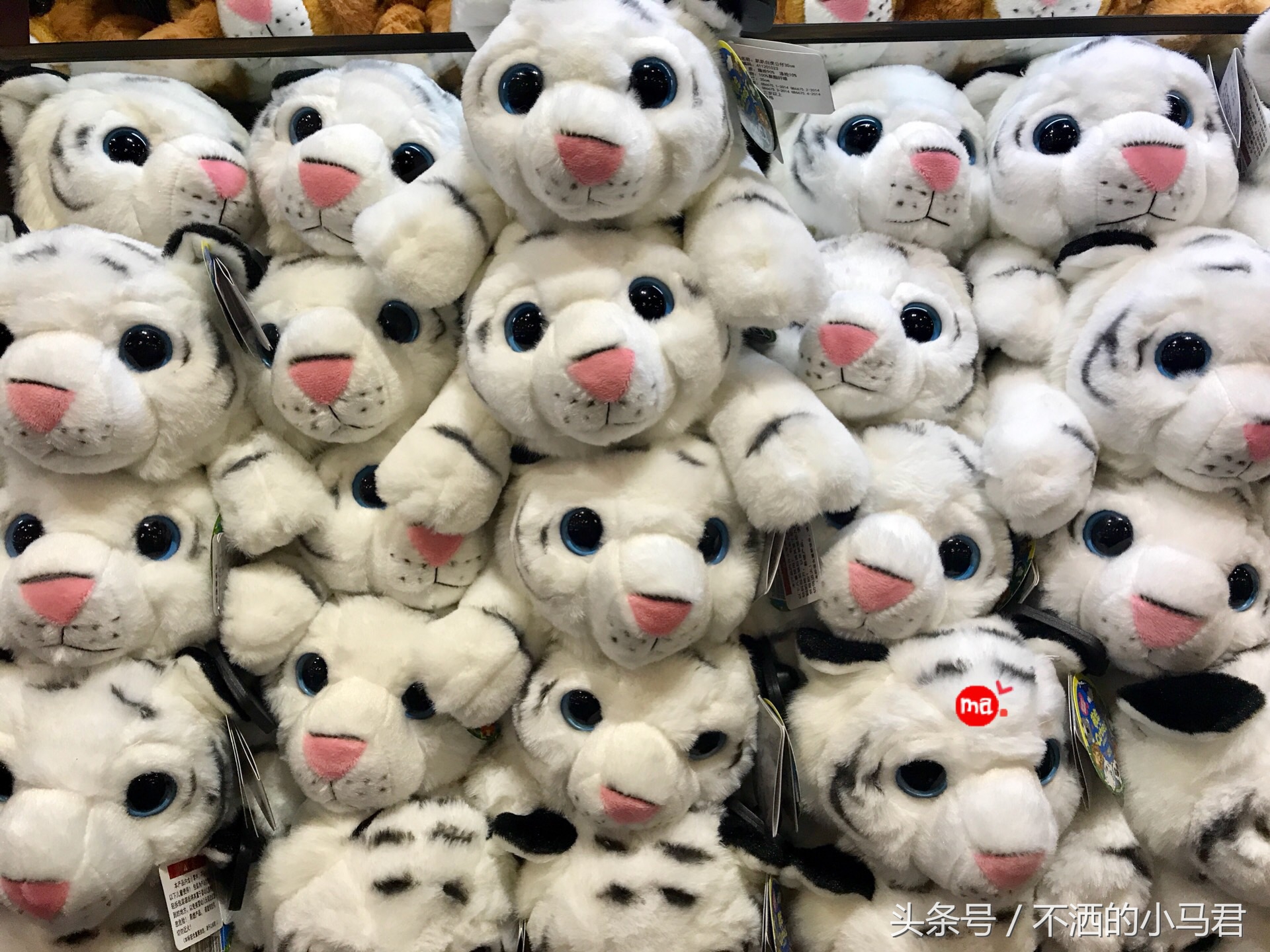 长隆野生动物园3天2晚亲子游,广州长隆野生动物园亲子游攻略