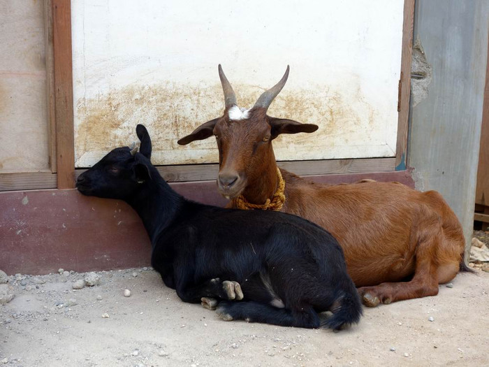 长滩之旅分享篇,长滩旅游行程