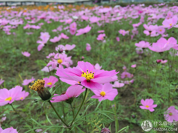 htcone和a9,htconea9和a9w