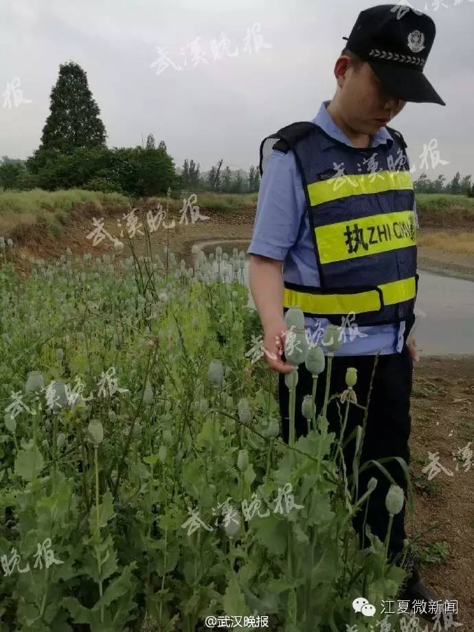 夫妻卖掉仅出生几天的儿子,夫妻俩卖掉出生仅5天的儿子