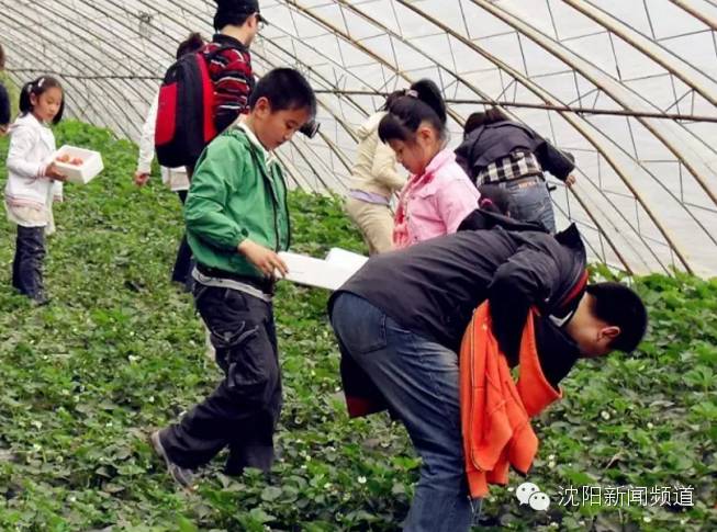 五一沈阳亲子游推荐 (2022年沈阳五一户外好玩的地方)