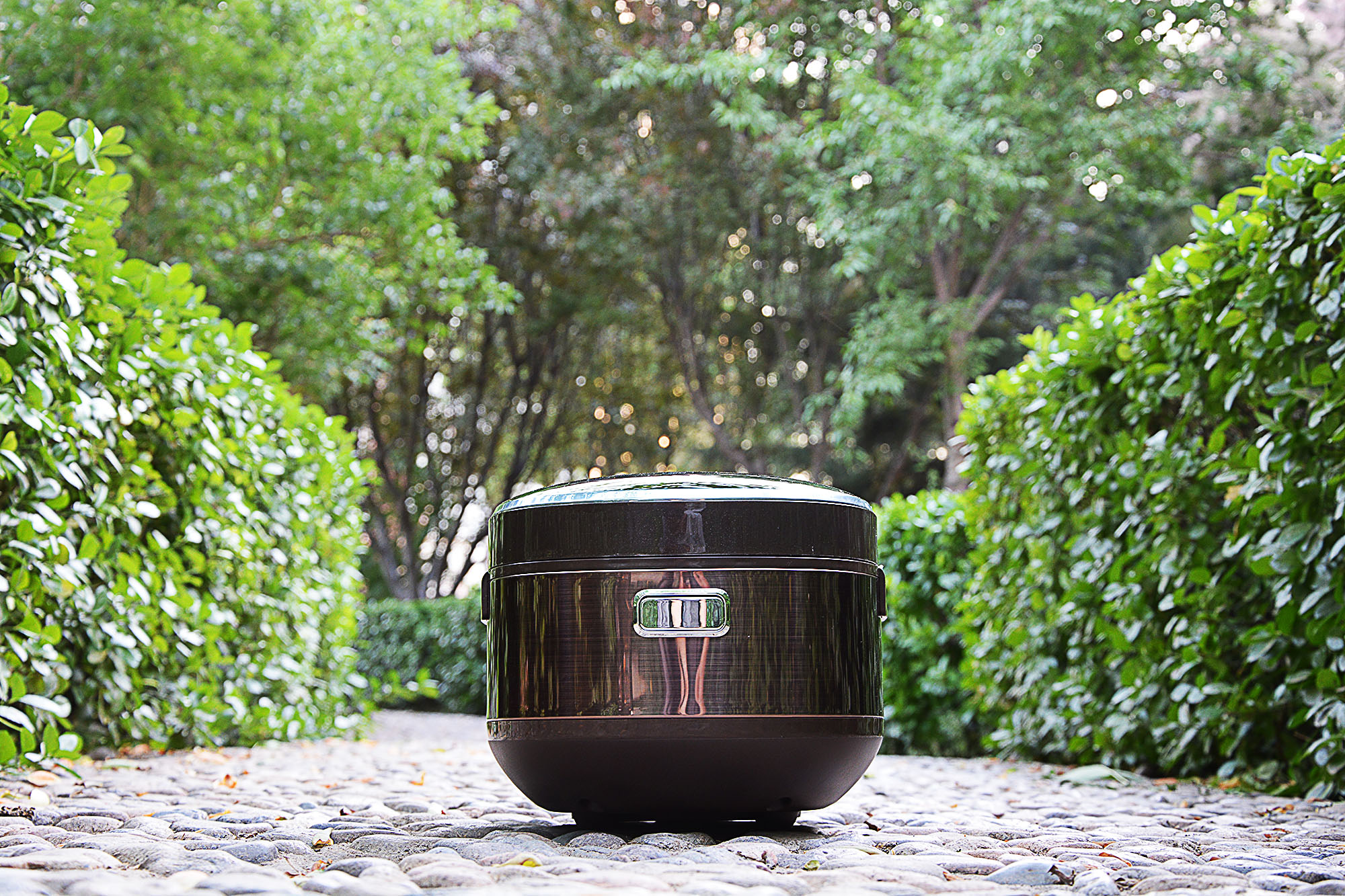 爱仕达ih电饭煲维修,爱仕达ih电饭煲怎么操作