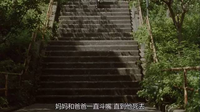 步履不停你才25岁,步履不停你才25岁台词