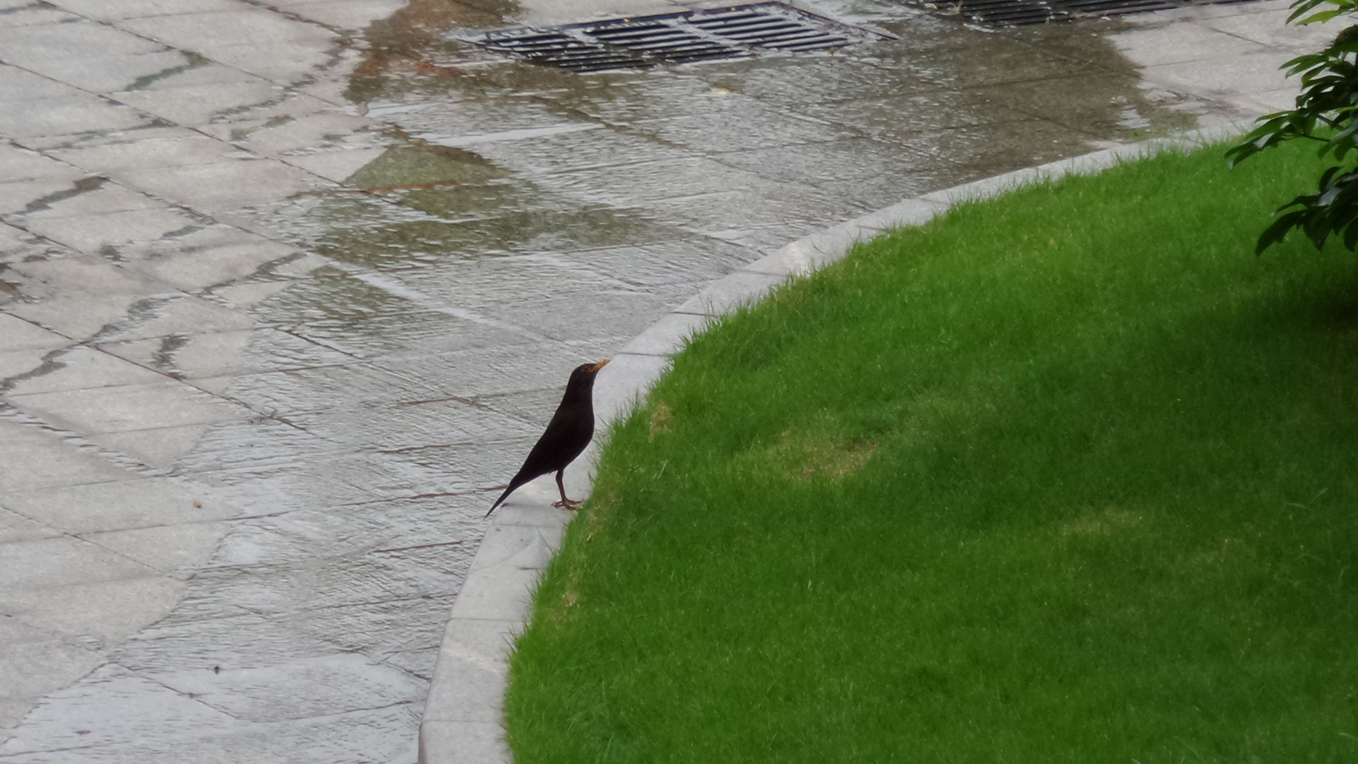 十倍光学变焦公认最好拍照手机,可变焦拍照神器