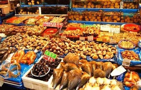 试吃舌尖上的中国系列,舌尖上的试吃团全集