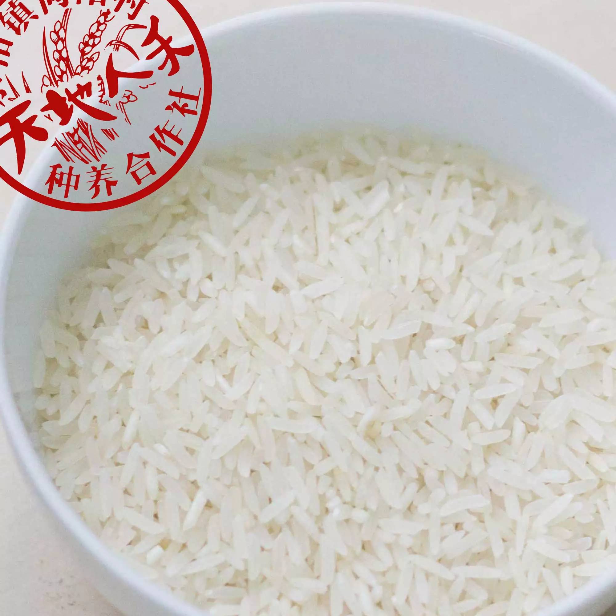 发芽糙米的制作方法,发芽糙米怎样吃最科学