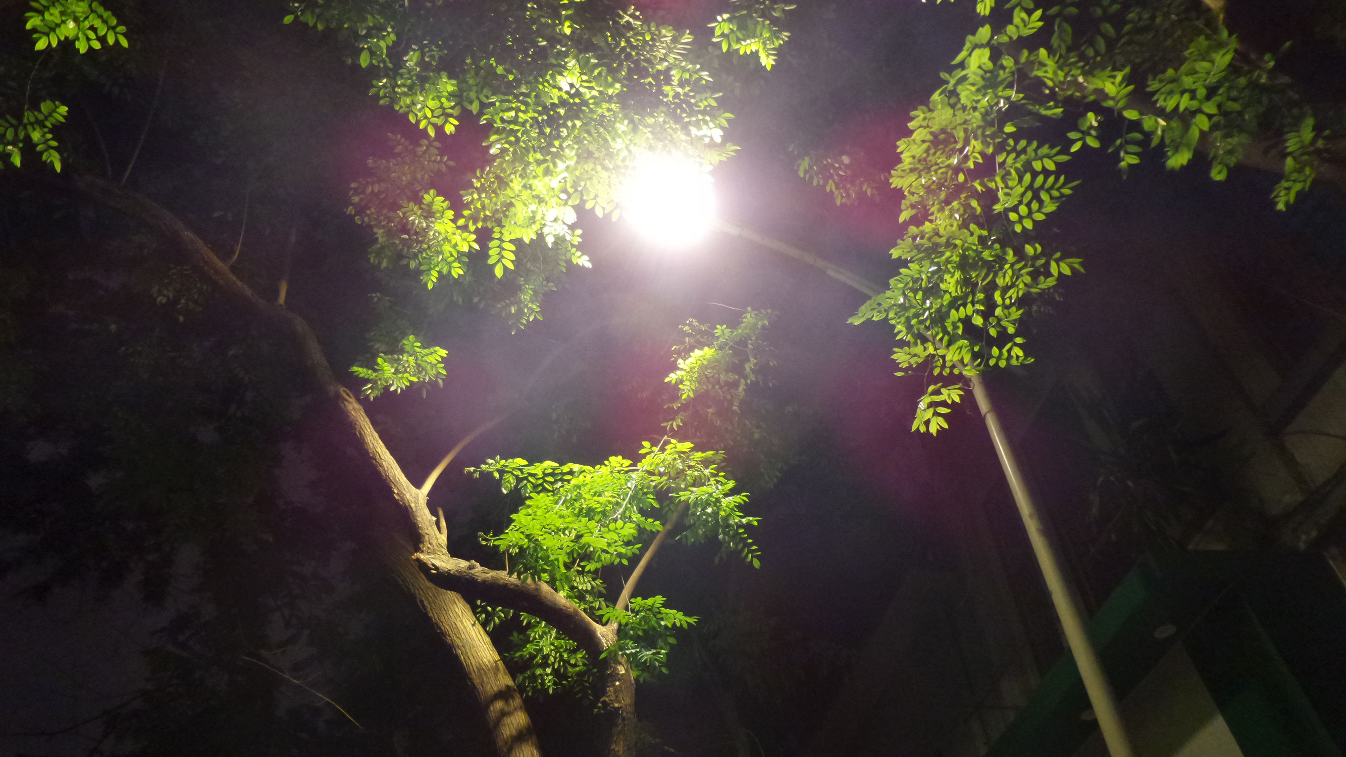 十倍光学变焦公认最好拍照手机,可变焦拍照神器