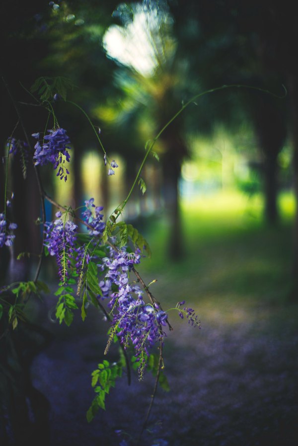 从化温泉之旅,从化文轩苑温泉攻略