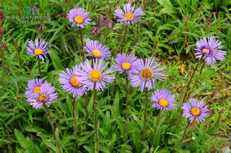 解决便秘小秘招,专治便秘的神秘秘方