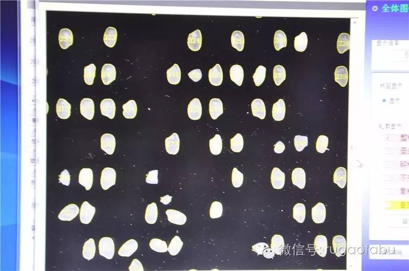 这个部门，太重要了！因为~