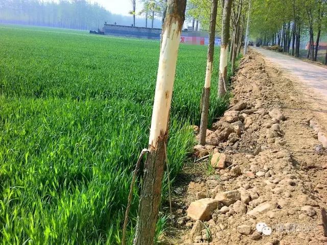 奔跑在路上看风景,奔跑着看风景视频