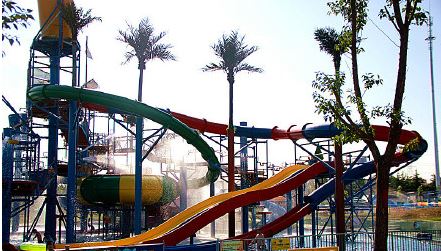 统一冰红茶拉罐整箱,统一冰红茶推广视频