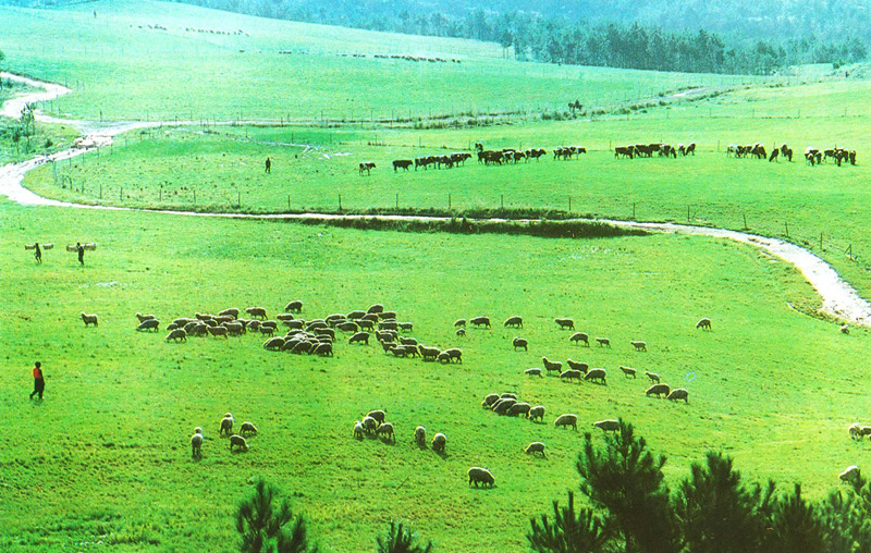 多彩贵州美丽独山,多彩贵州城景区