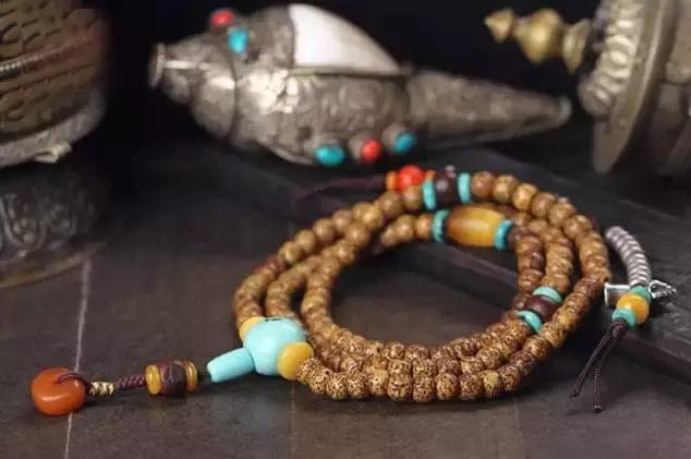 菩提哪一种好,菩提分几种哪种最好