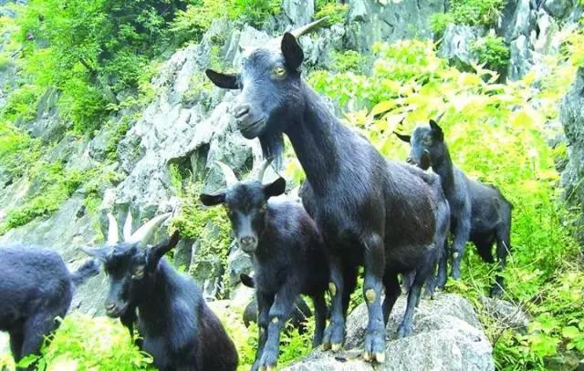 南宁旅游详细攻略,南宁旅游攻略有海吗