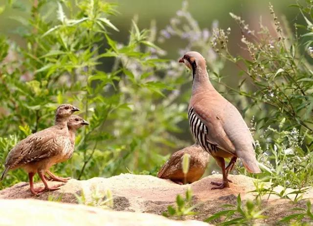 五一杭州千岛湖自驾游攻略,游千岛湖最佳季节