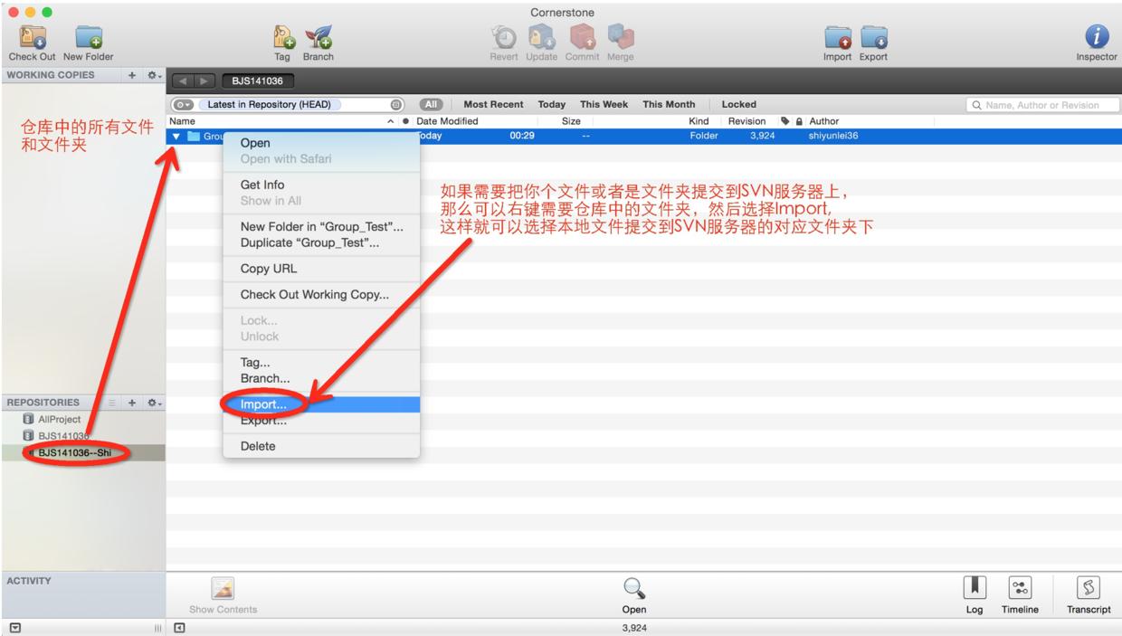 svn小乌龟使用方法,svnrevert怎么使用