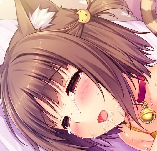 惊人的《NEKOPARA》销量达成50万片爱猫的力量太强大