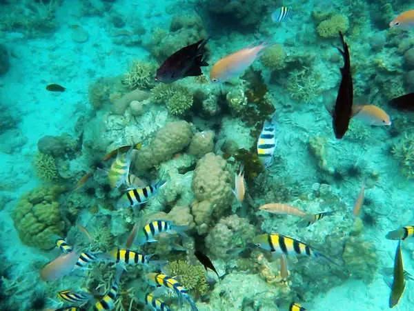 这才是菲律宾的真面目，一顾迷人眼，再顾享入“菲菲”