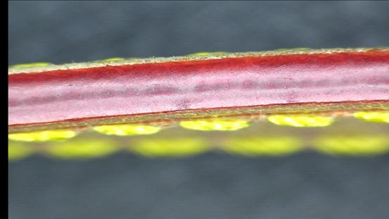 买到假的名牌包怎么办,花正品的钱买到假货