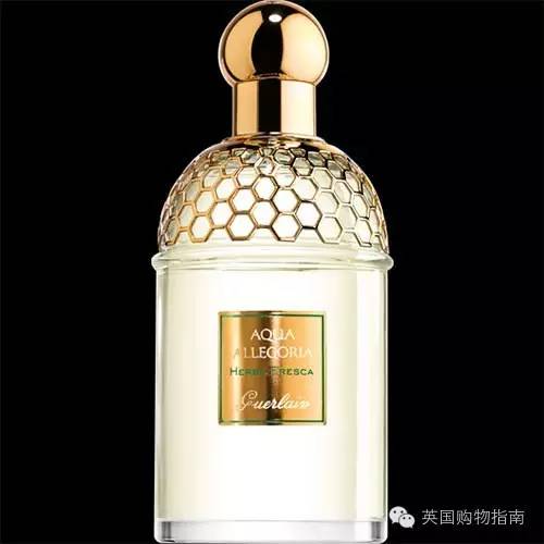 减肥薄荷的功效作用,薄荷减肥100分食谱