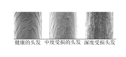 比可怕更可怕的事情,比恐怖更可怕的事