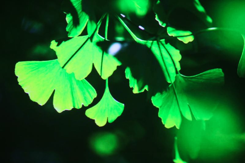 极米z4爵色支持激光翻页笔吗,极米z4爵色和极米z4air