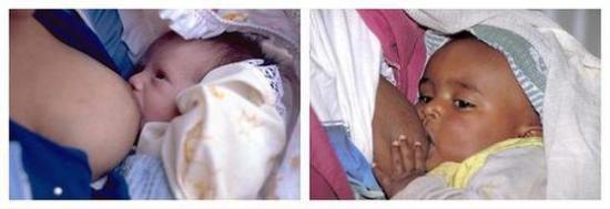 盘点五款专坑国人宝宝的进口奶粉,进口奶粉的安全知识和注意事项