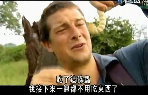 樱桃切开里面的小虫子,樱桃掰开里面有虫子