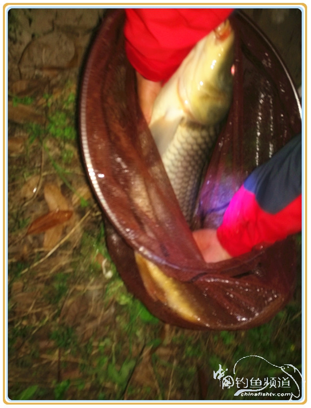 坚守半年中奖1813万,坚守7年终夺冠