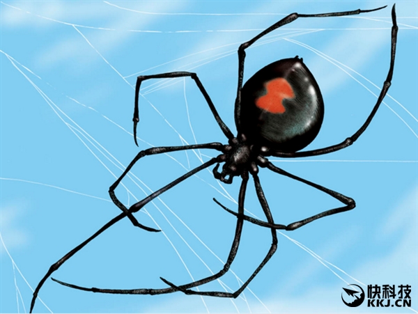 地球上最毒的15种动物,世界上最毒的动物排行