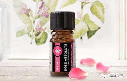 精油5大功效,用这10种精油搞定生活中常见病症