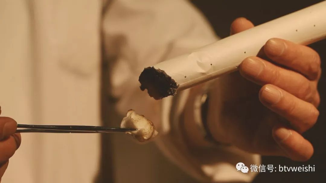 养生堂今日现场直播回放,养生堂程氏针灸视频