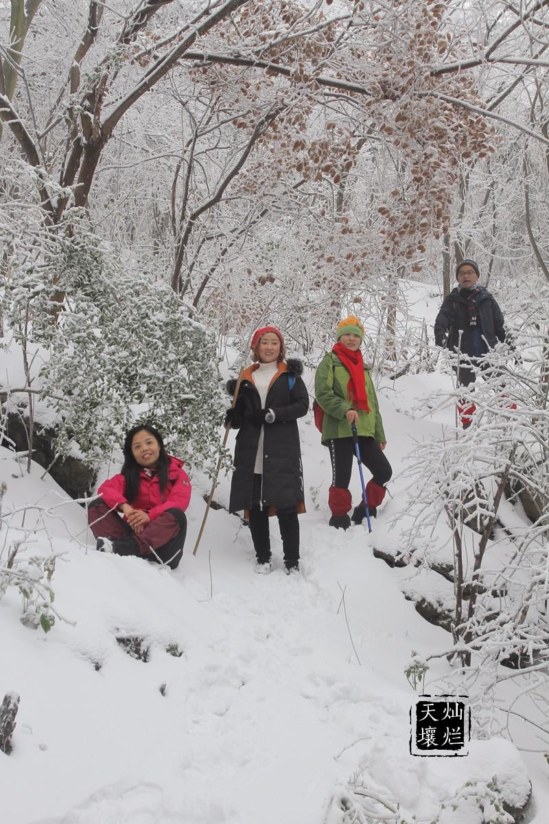 赏雪何须去北国,赏雪不用去远方
