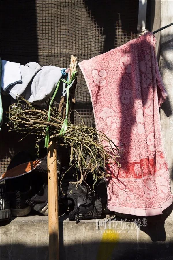 鄞州区姜山老街,姜山古街历史