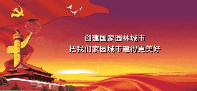 江东新区规划图河源,江东新区河源发展规划