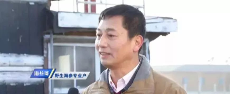 十块钱吃海鲜,吃海参的秘密