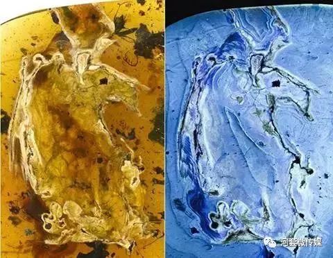 鸿雁知天下简介,鸿雁知天下