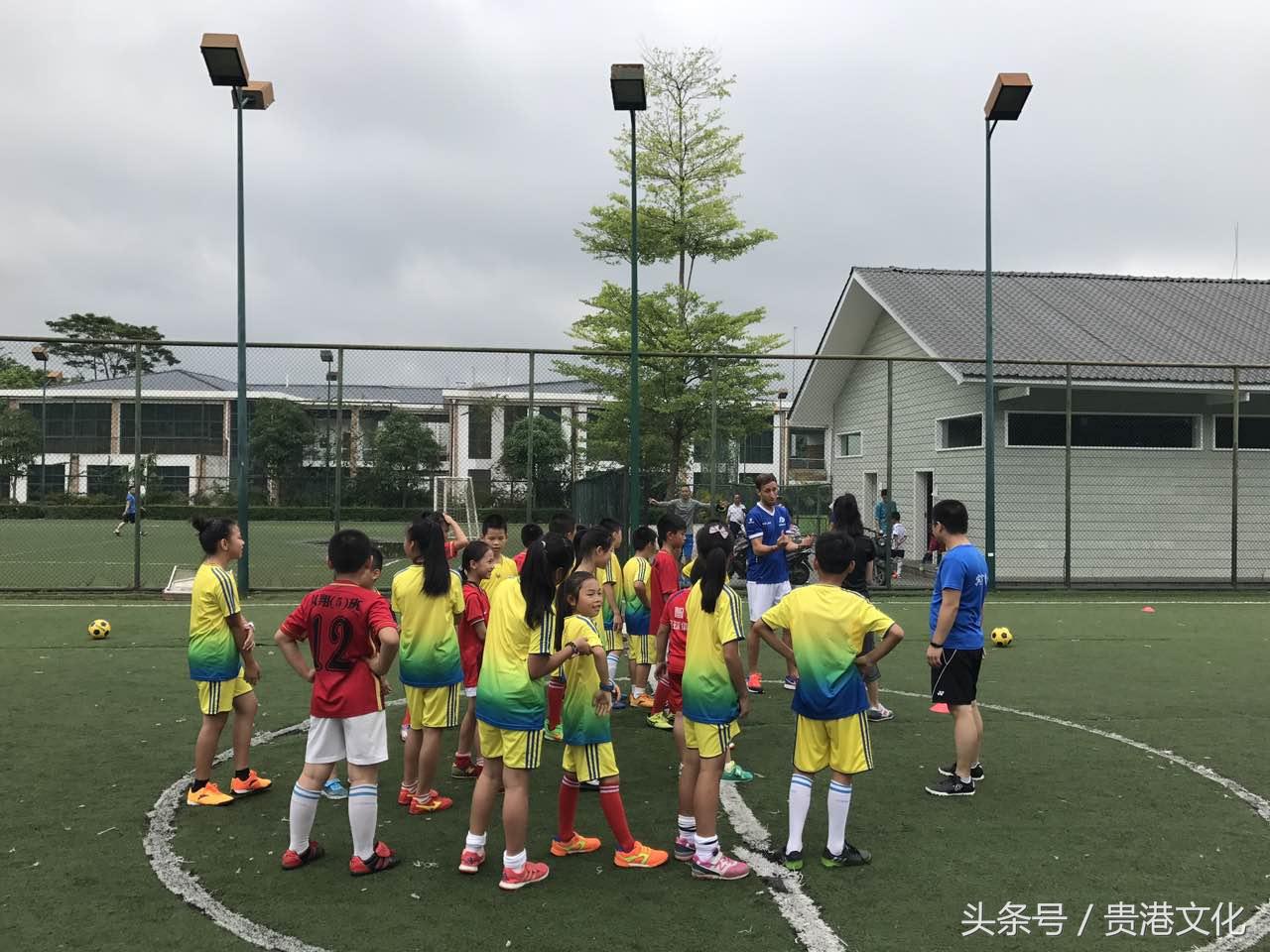 看懂足球的基础知识,认识各种球