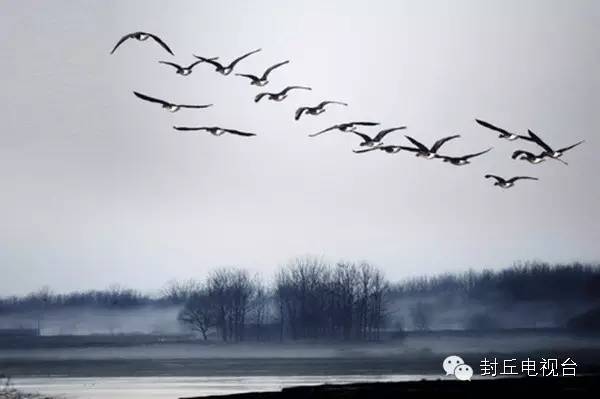 这儿是荥阳,这儿是许昌