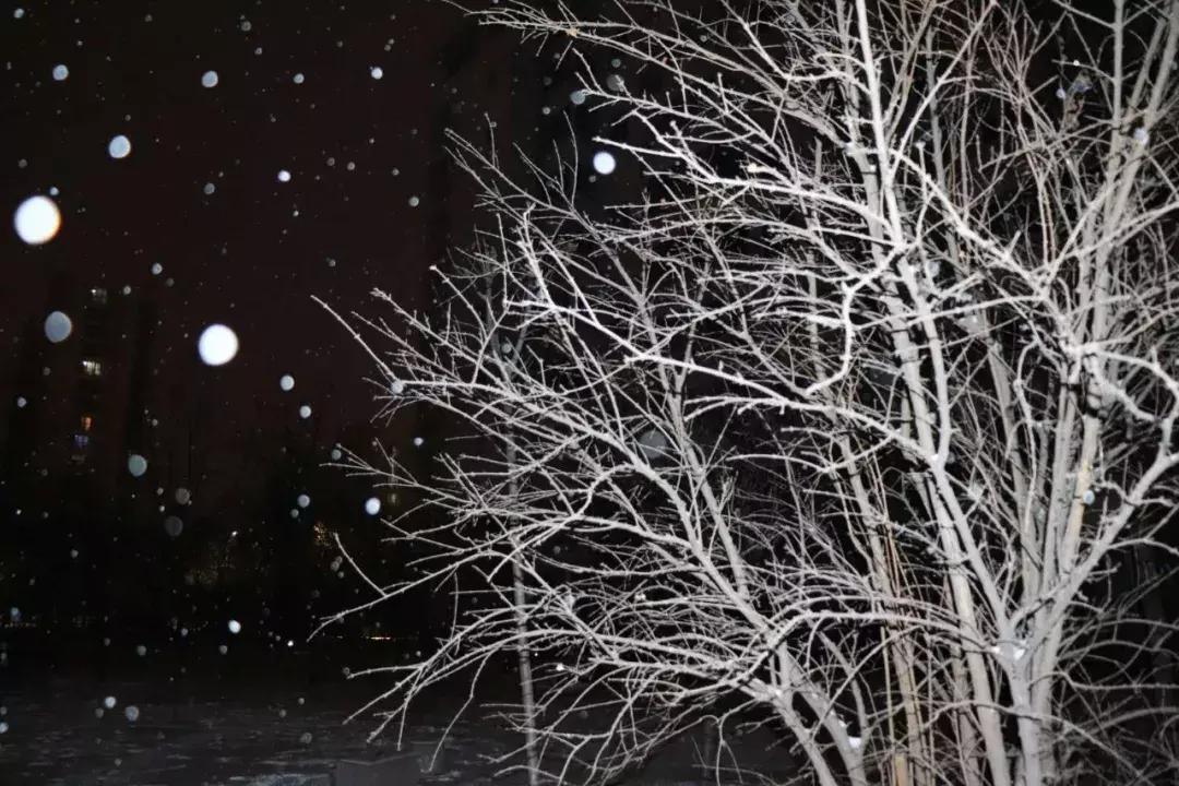 雪下得那么深那么认真下句怎么接,雪下得那么深那么认真全部歌词