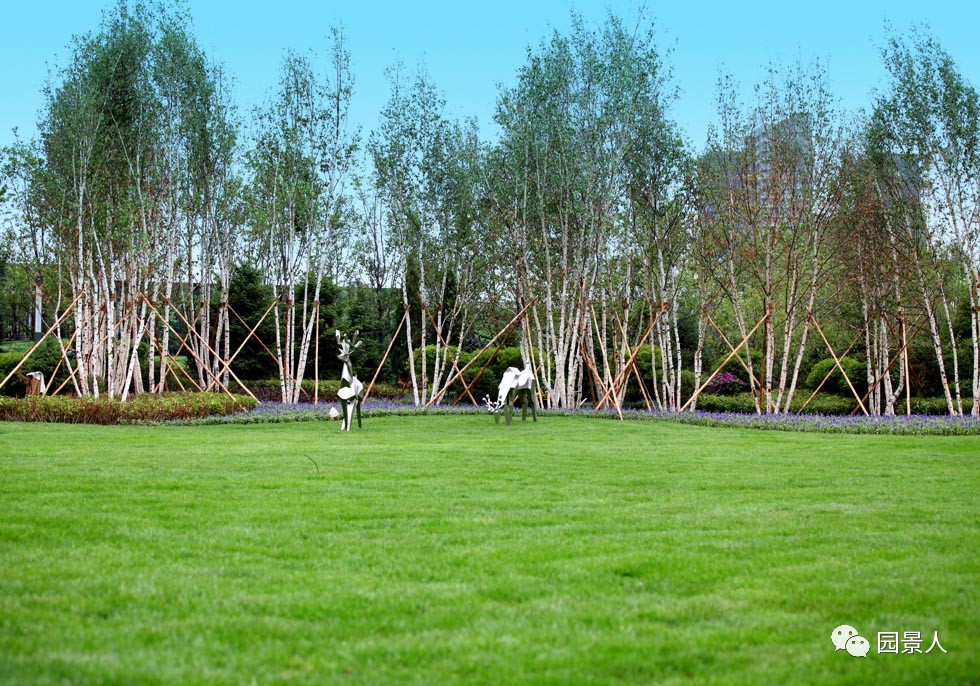 阳光草地美景,福州阳光草坪